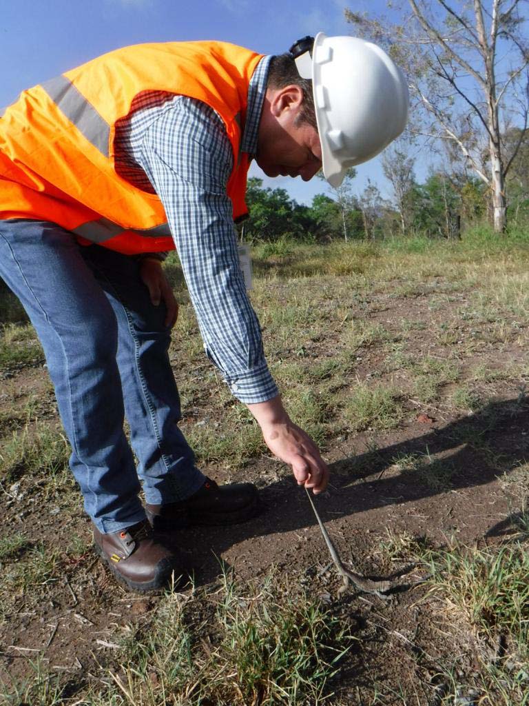 PRAMSEI: Proyectos ambientales en etapas constructivas y operativas (117)